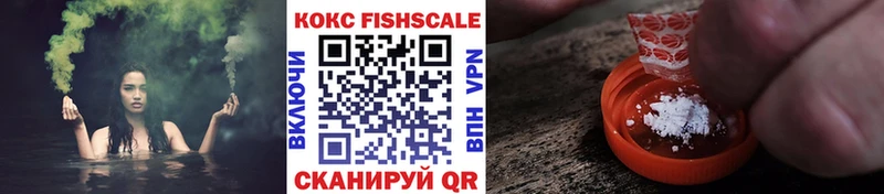 Cocaine FishScale  мега маркетплейс  Хилок 
