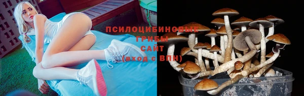 мескалин Баксан