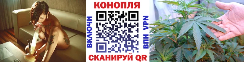 Каннабис индика  Хилок 